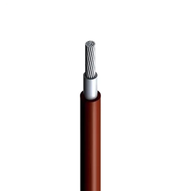 10 Gauge Twin Solar Cable